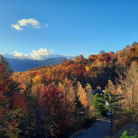 3 Decks, Mtn Views! Tree Tops By Honeybearcabins - Luxury Rain Showers, 3 King Suites, Xl Hottub, Fireplace, Bear Sightings Gatlinburg Εξωτερικό φωτογραφία