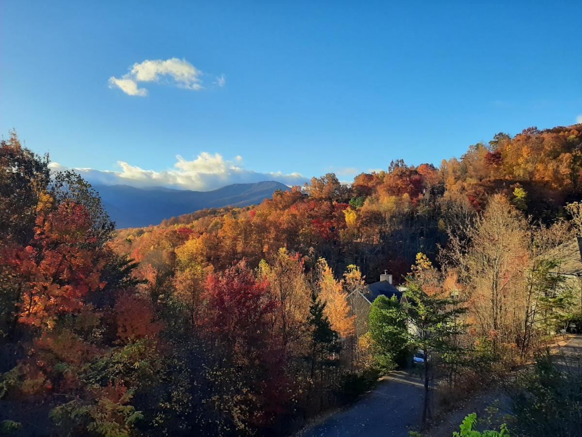 3 Decks, Mtn Views! Tree Tops By Honeybearcabins - Luxury Rain Showers, 3 King Suites, Xl Hottub, Fireplace, Bear Sightings Gatlinburg Εξωτερικό φωτογραφία